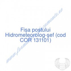 Hidrometeorolog-şef (cod...