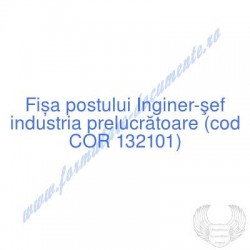 Inginer-şef industria...