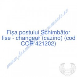 Schimbător fise - changeur...