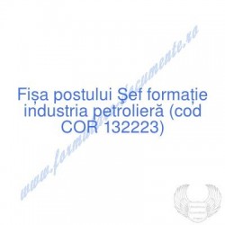 Şef formaţie industria...