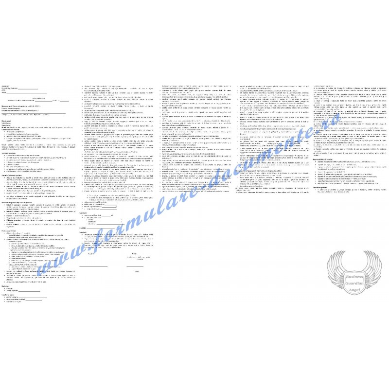 Fișa postului pentru Expeditor internaţional (cod COR 432331) Fișa postului pentru Expeditor internaţional (cod COR 432331)
