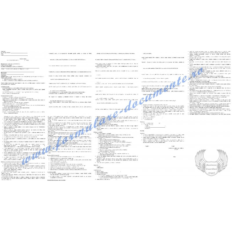 Fișa postului pentru Agent curier (cod COR 432333) Fișa postului pentru Agent curier (cod COR 432333)