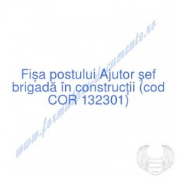 Ajutor şef brigadă în...