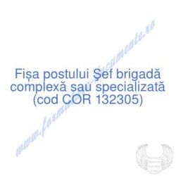 Şef brigadă complexă sau...