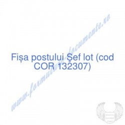 Şef lot (cod COR 132307) -...
