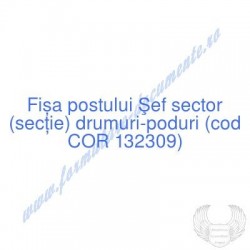 Şef sector (secţie)...