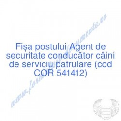 Agent de securitate...
