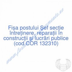 Şef secţie întreţinere,...