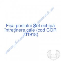 Şef echipă întreţinere cale...