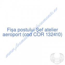 Şef atelier aeroport (cod...