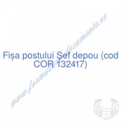Şef depou (cod COR 132417)...