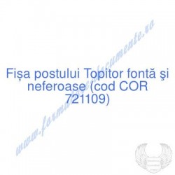 Topitor fontă şi neferoase...
