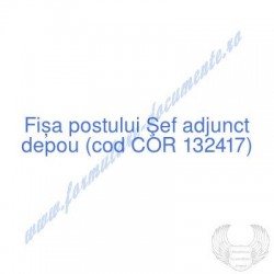 Şef adjunct depou (cod COR...