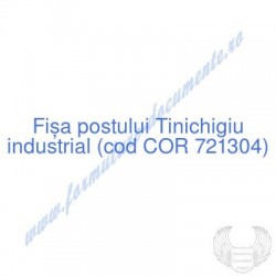 Tinichigiu industrial (cod...