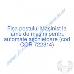 Maşinist la lame de maşini...