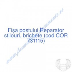 Reparator stilouri,...