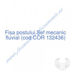 Şef mecanic fluvial (cod...