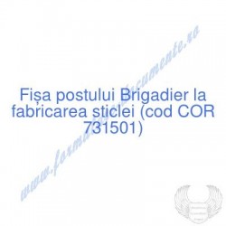 Brigadier la fabricarea...