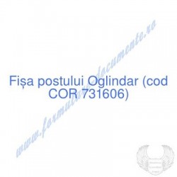Oglindar (cod COR 731606) -...
