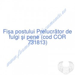 Prelucrător de fulgi şi...
