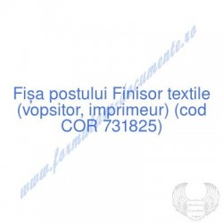 Finisor textile (vopsitor,...