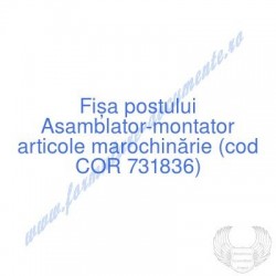 Asamblator-montator...