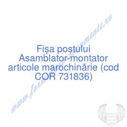 Asamblator-montator...