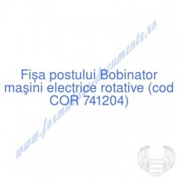 Bobinator maşini electrice...