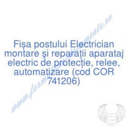 Electrician montare şi...