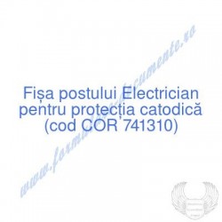 Electrician pentru...