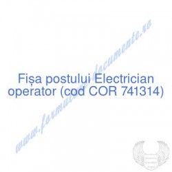 Electrician operator (cod...