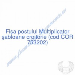 Multiplicator şabloane...
