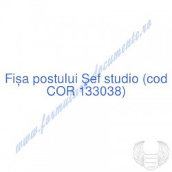 Şef studio (cod COR 133038)...