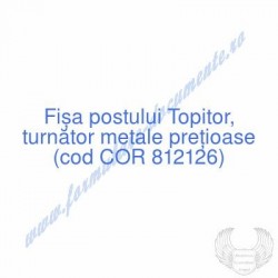 Topitor, turnător metale...