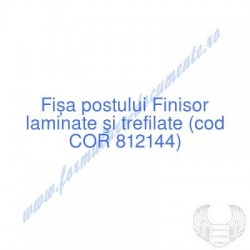 Finisor laminate şi...