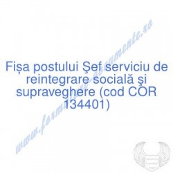Şef serviciu de reintegrare...