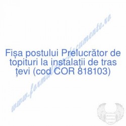 Prelucrător de topituri la...