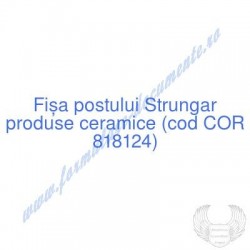 Strungar produse ceramice...