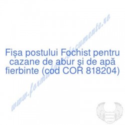 Fochist pentru cazane de...