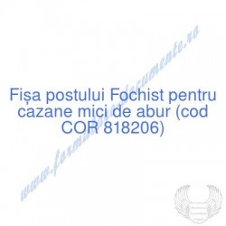 Fochist pentru cazane mici...