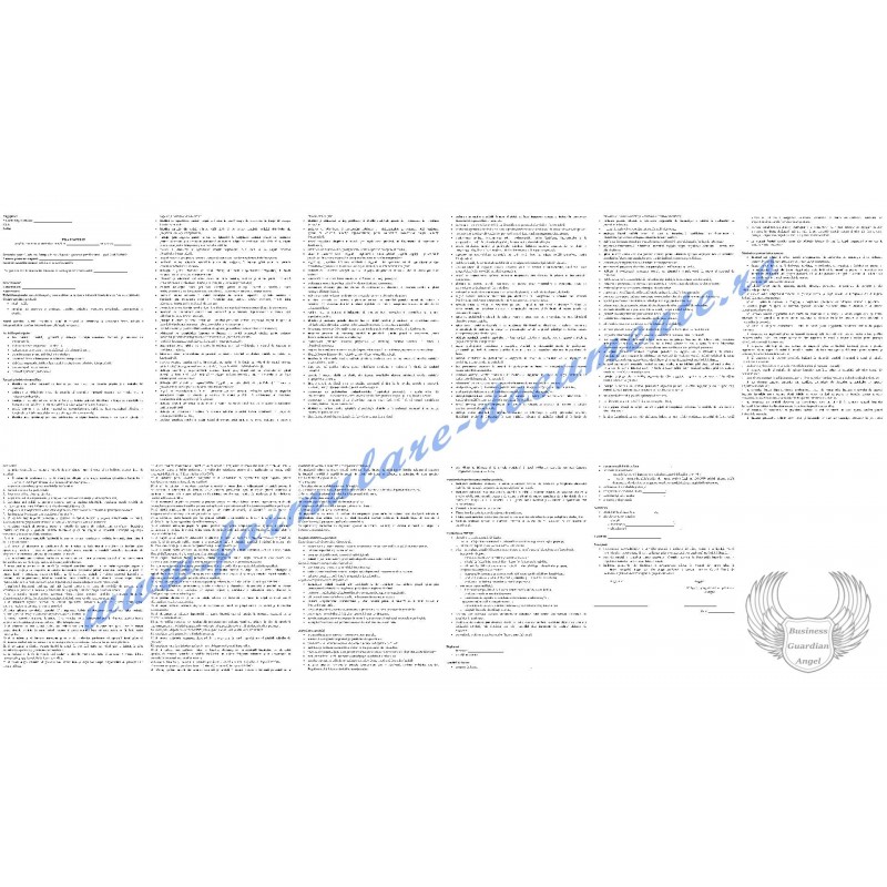 Fișa postului și Fișă de evaluare a performanțelor individuale pentru Conducător întreprindere