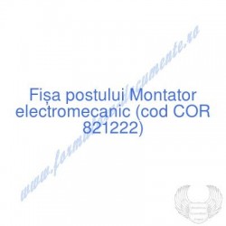 Montator electromecanic...