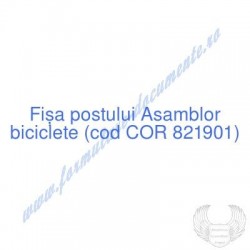 Asamblor biciclete (cod COR...