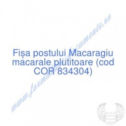 Macaragiu macarale...