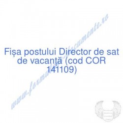 Director de sat de vacanţă...