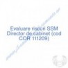 Director de cabinet (cod COR 111209) - Evaluare riscuri SSM