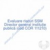 Director general instituţie publică (cod COR 111210) - Evaluare riscuri SSM