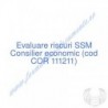Consilier economic (cod COR 111211) - Evaluare riscuri SSM