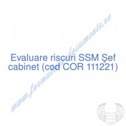 Şef cabinet (cod COR...