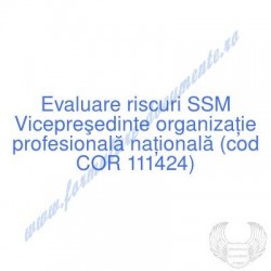 Vicepreşedinte organizaţie...